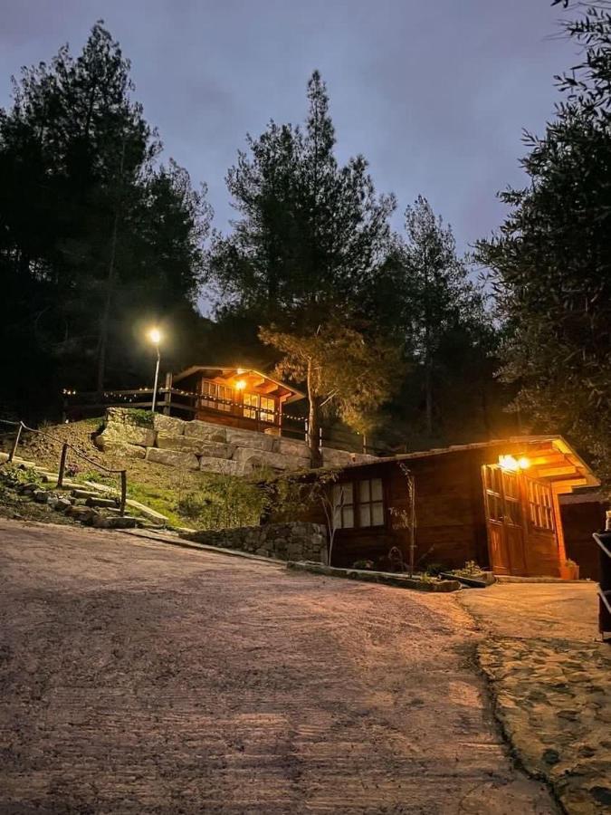 Bosco Paradiso 利马索尔 外观 照片